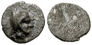 001-Hemitartemorion-02.jpg