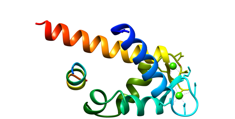 ملف:ANXA1.png