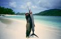 Sailfish