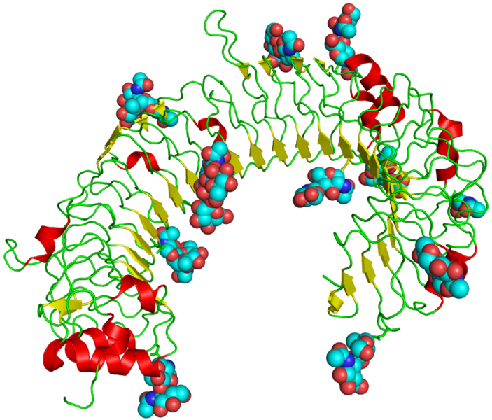 ملف:TLR3 structure.png