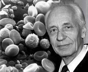 Jean Dausset.jpg