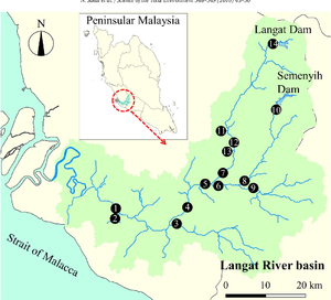 Langhat.png