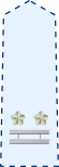 JASDF Lieutenant Colonel insignia (a).svg