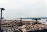 Bamboo rafts by the Irrawaddy