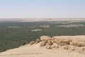 واحة سيوة