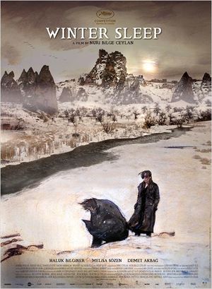 Winter Sleep (Poster).jpg