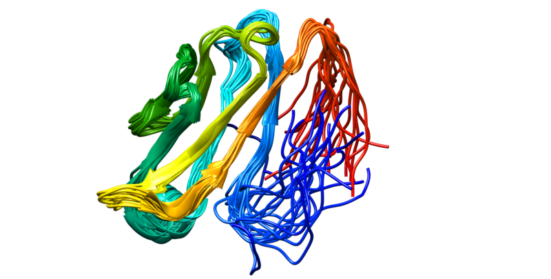 ملف:DSG2 protein.png