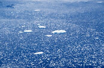Loose drift ice on the east coast of Greenland