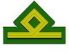 Fascist Rank Second Chief Maniple 2.jpg
