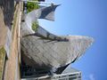 Fish Dance in Kobe