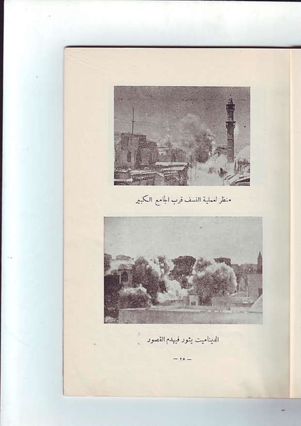 ملف:فلسطين الشهيدة.pdf