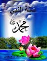 نوح أحمد حسن-سُنة النبي محمد