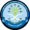 SAUDI HAWKS NEW BADGE.png