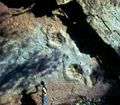 Giant dinosaur tracks (sauropod) on top of a regressive sequence, Middle Liassic, High Atlas, Morocco.