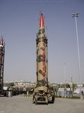 شاهين-1.jpg