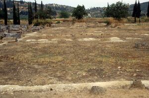 Image of the remains of the first oikos taken in 1991. The west wall is in the foreground and the limestone walls are very short and damaged. Only the rectangular walls remain around the soil and grass, there are also hills and trees in the background.