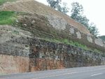 Interstate road cut through limestone and shale strata in East تنسي