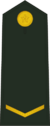 PLAGF-0701-PVT.png