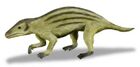 Pseudotribos robustus