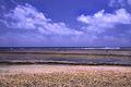 The Marshall Islands - Majuro - Surroundings.jpg