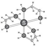 9890-2.jpg