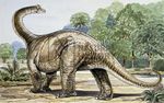 Aegyptosaurus.jpg
