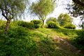 Azhar park 2 - panoramio.jpg