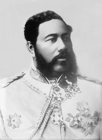 Kalakaua dust & scratches.jpg