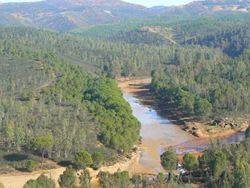 Río Odiel.JPG