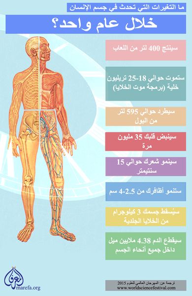 ملف:Year-in-the-body.jpg