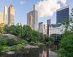 Central Park view with a pond and skyscrapers in the background