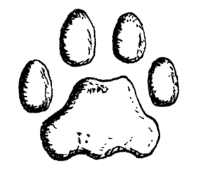 Puma Pfote.png