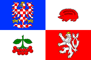 Flag of Vysocina Region.svg