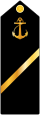 01.IRIN-1stY-SO.svg