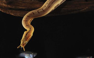 2012 07 08 50.jpg