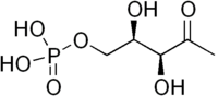 DOXP.png