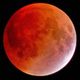 Lunar Eclipse.jpg