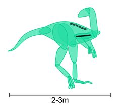 Nyasasaurus.jpg