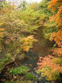 Saikachi Gawa