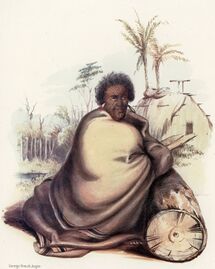 Pōtatau Te Wherowhero (1858–1860)