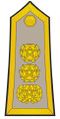 Colonel Armée marocaine.JPG
