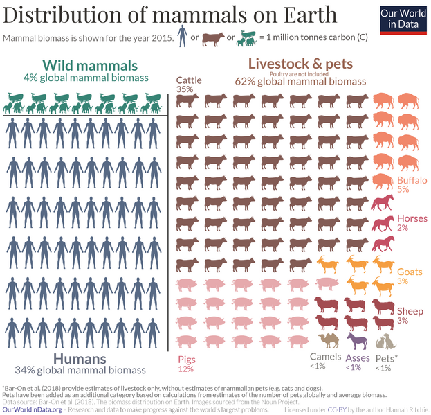 ملف:Distribution-of-earths-mammals.png
