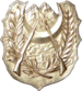 ANP.png