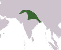 Delhi sultanate.JPG