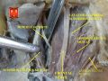 Superior rectus muscle
