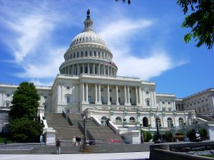 Uscapitolindaylight.jpg