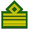 Fascist Rank First Senior 2.jpg