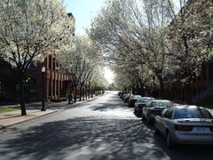 Franklin Square