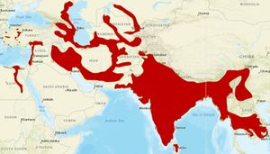 Distribution of Jungle Cat.jpg