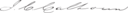Appletons' Calhoun John Caldwell signature.jpg
